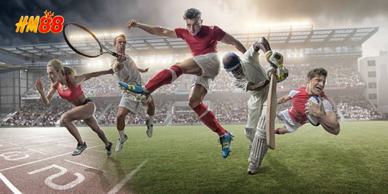 Những Môn Thể Thao HM88 Nổi Bật, Làm Nên Tên Tuổi Thương Hiệu